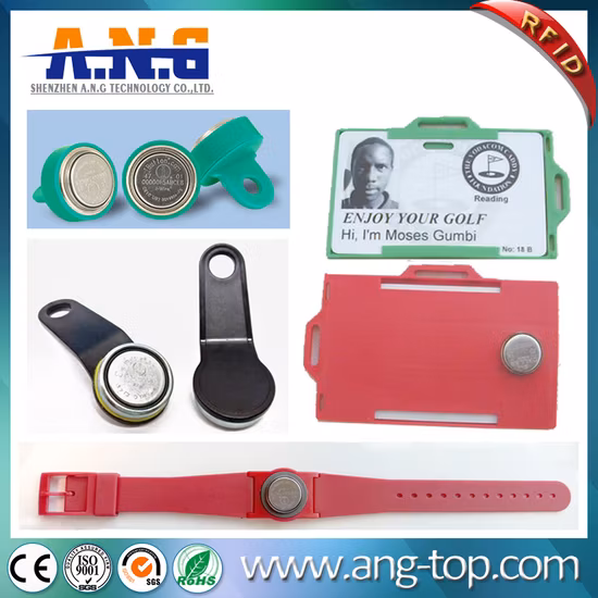 Rewritable Touch Memory Information RW1990 I-Button Key RFID Smart Card